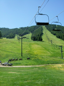 Jackson Hole - July 2010 (20).JPG